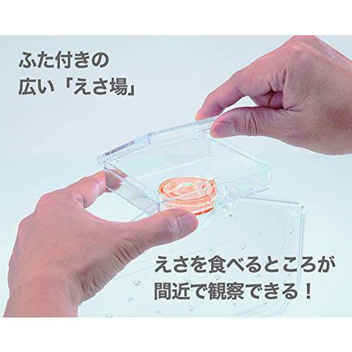 ふしぎの国のアリのすハウス