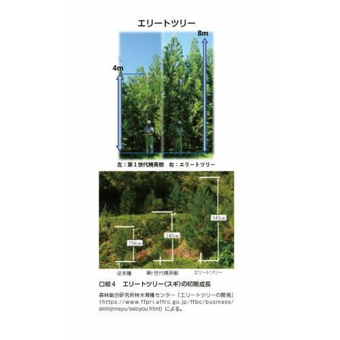 低コスト再造林歩みと最新技術