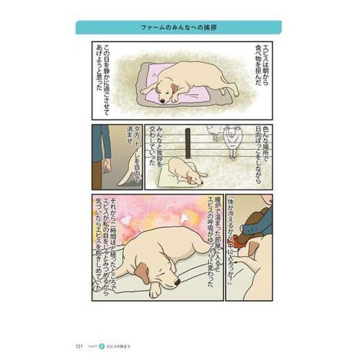 羊の国のラブラドール絵日記シニア　ニュージーランドから