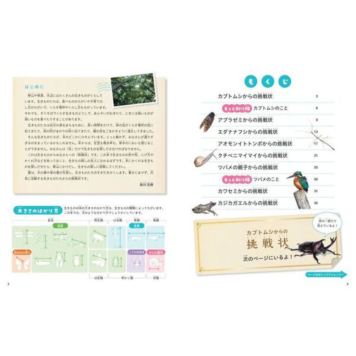 みーつけた！生きものからの挑戦状　〔２〕「夏の生きものをさがせ！」