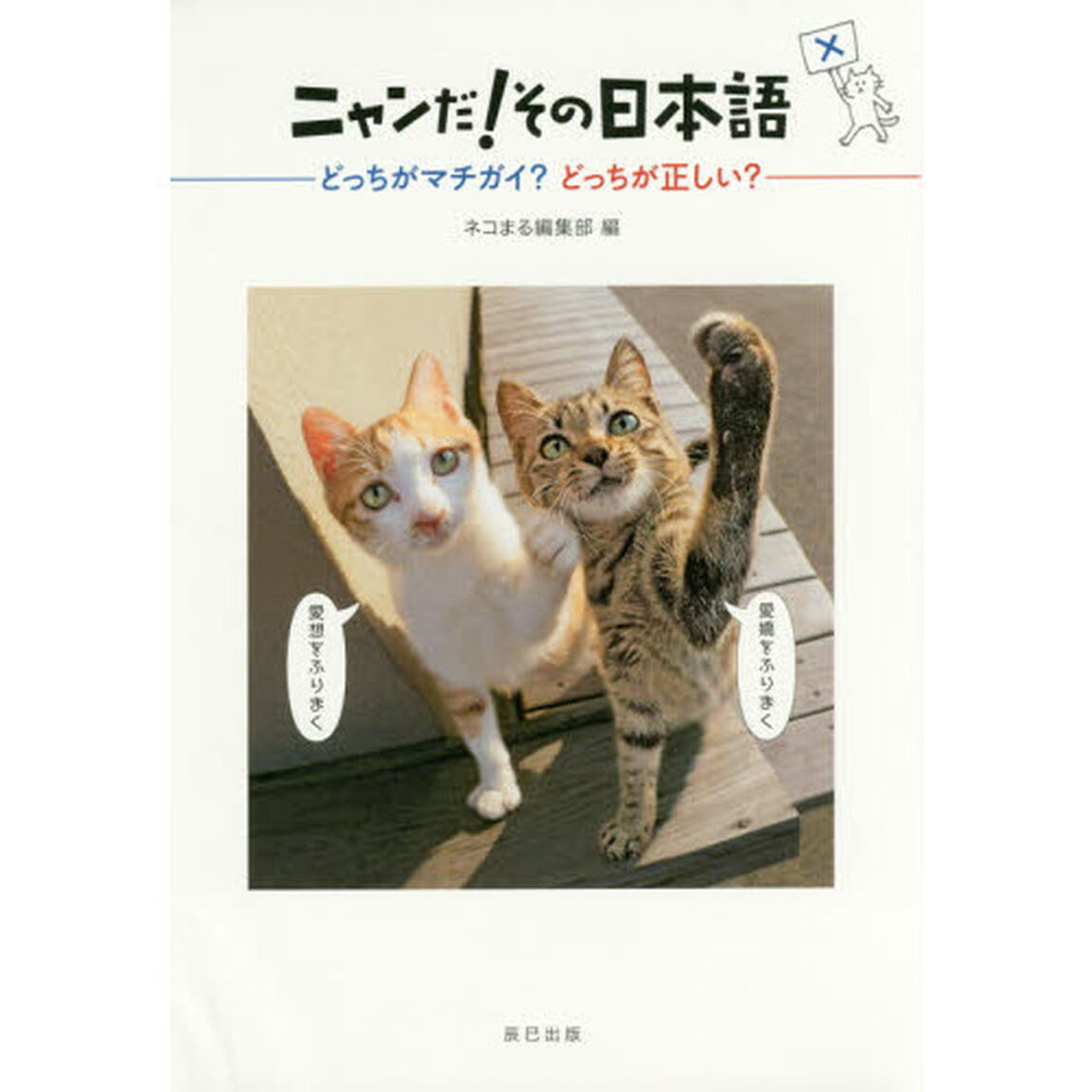 ニャンだ！その日本語　どっちがマチガイ？どっちが正しい？