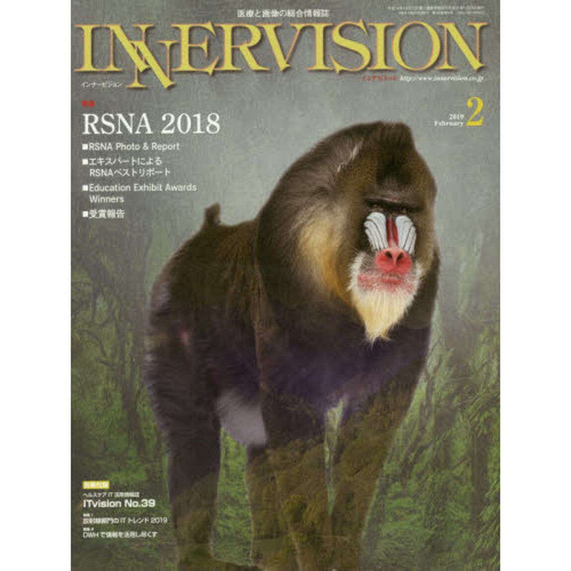 インナービジョン　医療と画像の総合情報誌　第３４巻第２号（２０１９ＦＥＢＲＵＡＲＹ）「●〈特集〉ＲＳＮＡ２０１８－エキスパートによるＲＳＮＡベストリポートほか」