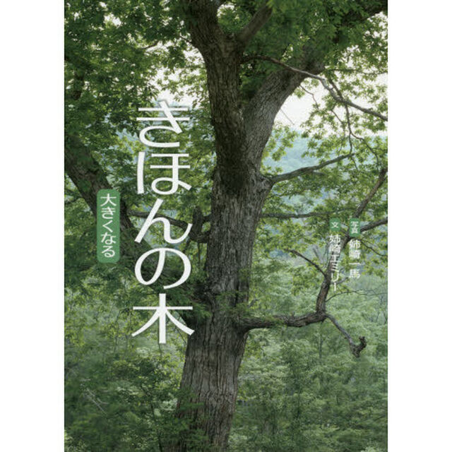 きほんの木　大きくなる