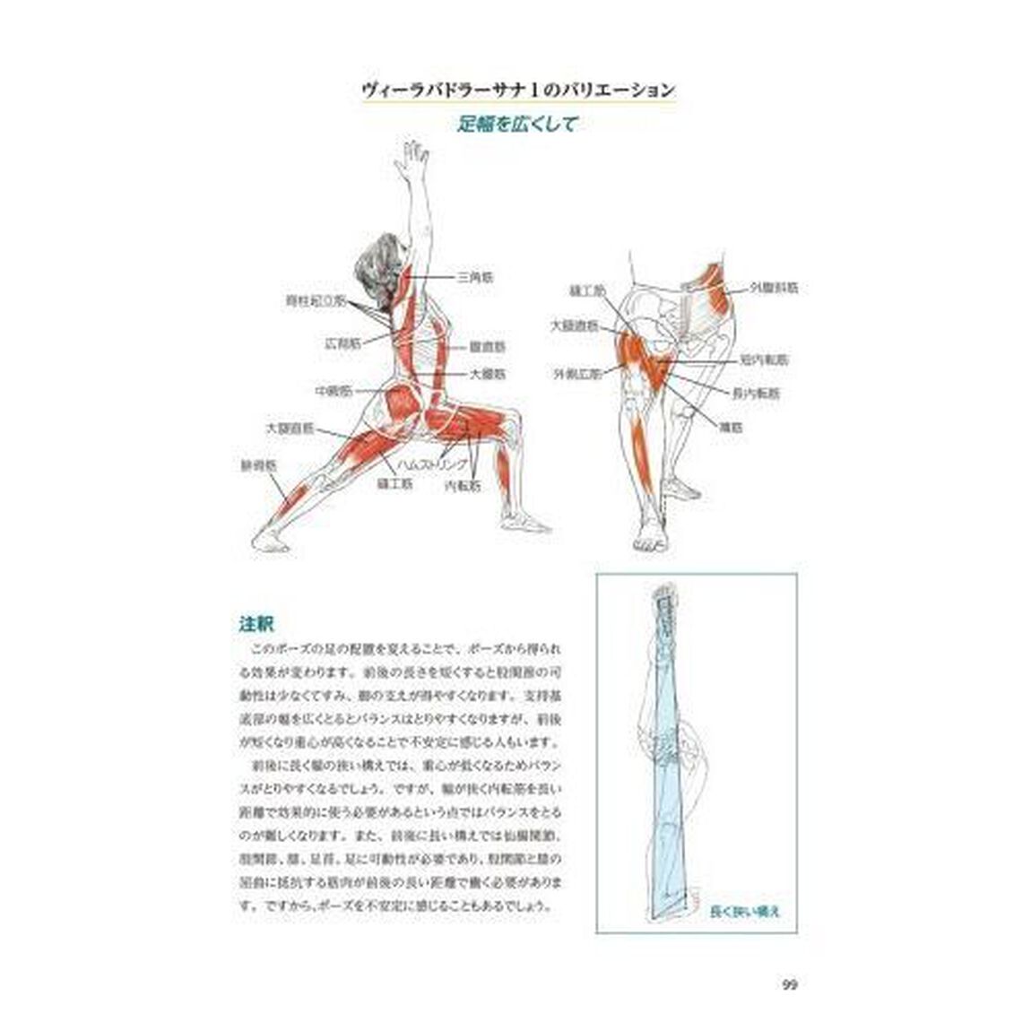 レスリー・カミノフのヨガアナトミィ　ポーズ・動き・呼吸テクニックとフルカラー解剖学図解ガイド「改訂第２版」