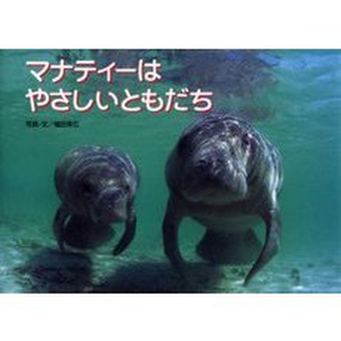 マナティーはやさしいともだち