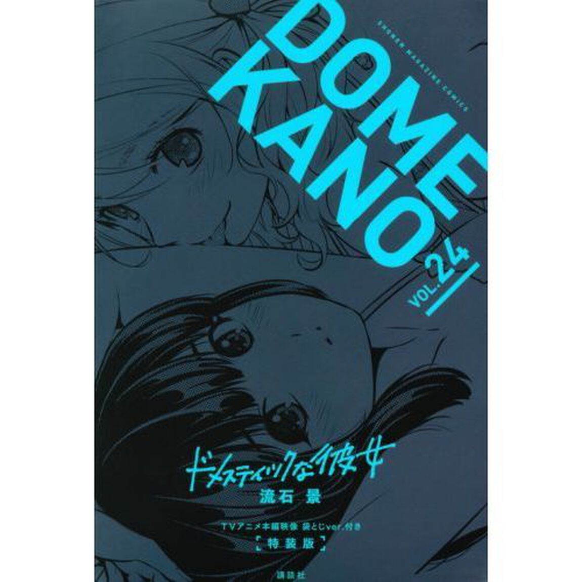 ドメスティックな彼女　　２４　特装版