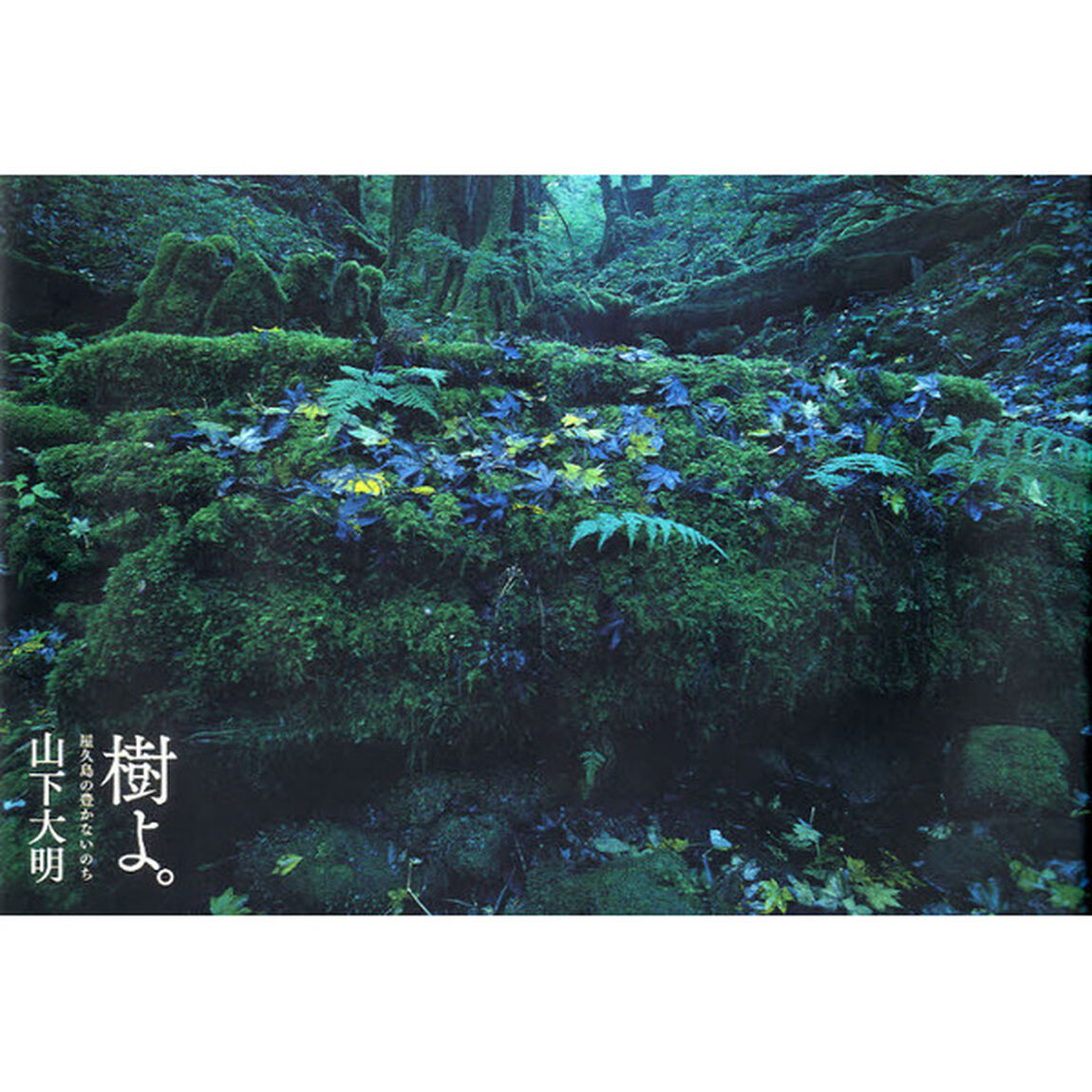樹よ。―屋久島の豊かないのち
