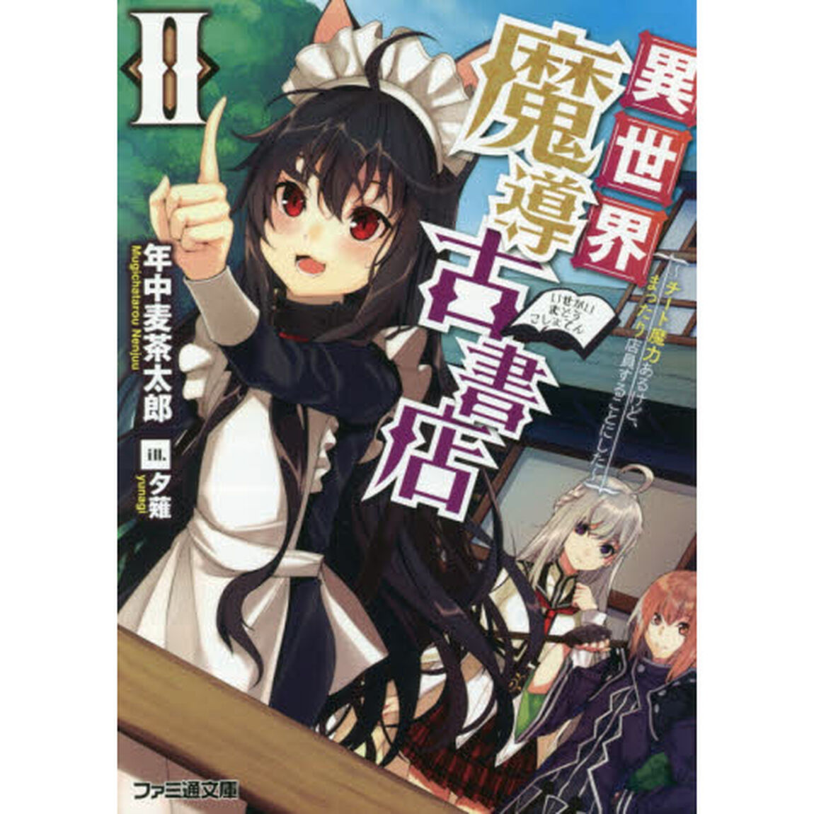 異世界魔導古書店　チート魔力あるけど、まったり店員することにした　２