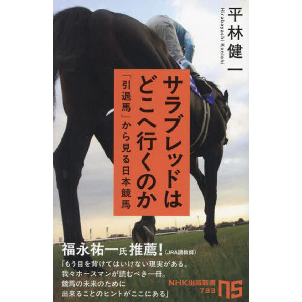 サラブレッドはどこへ行くのか　「引退馬」から見る日本競馬