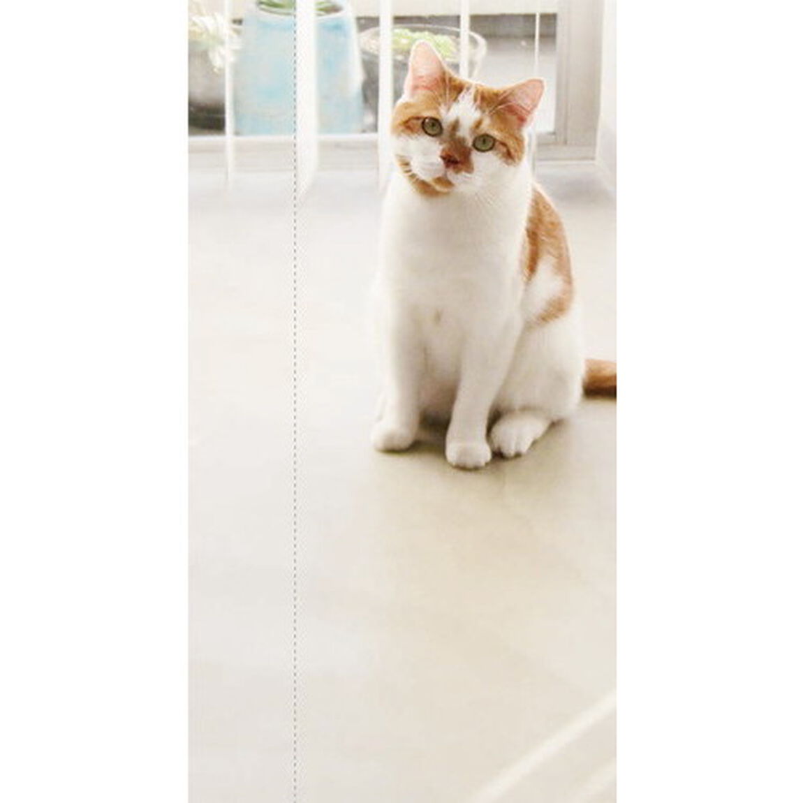 どんころり