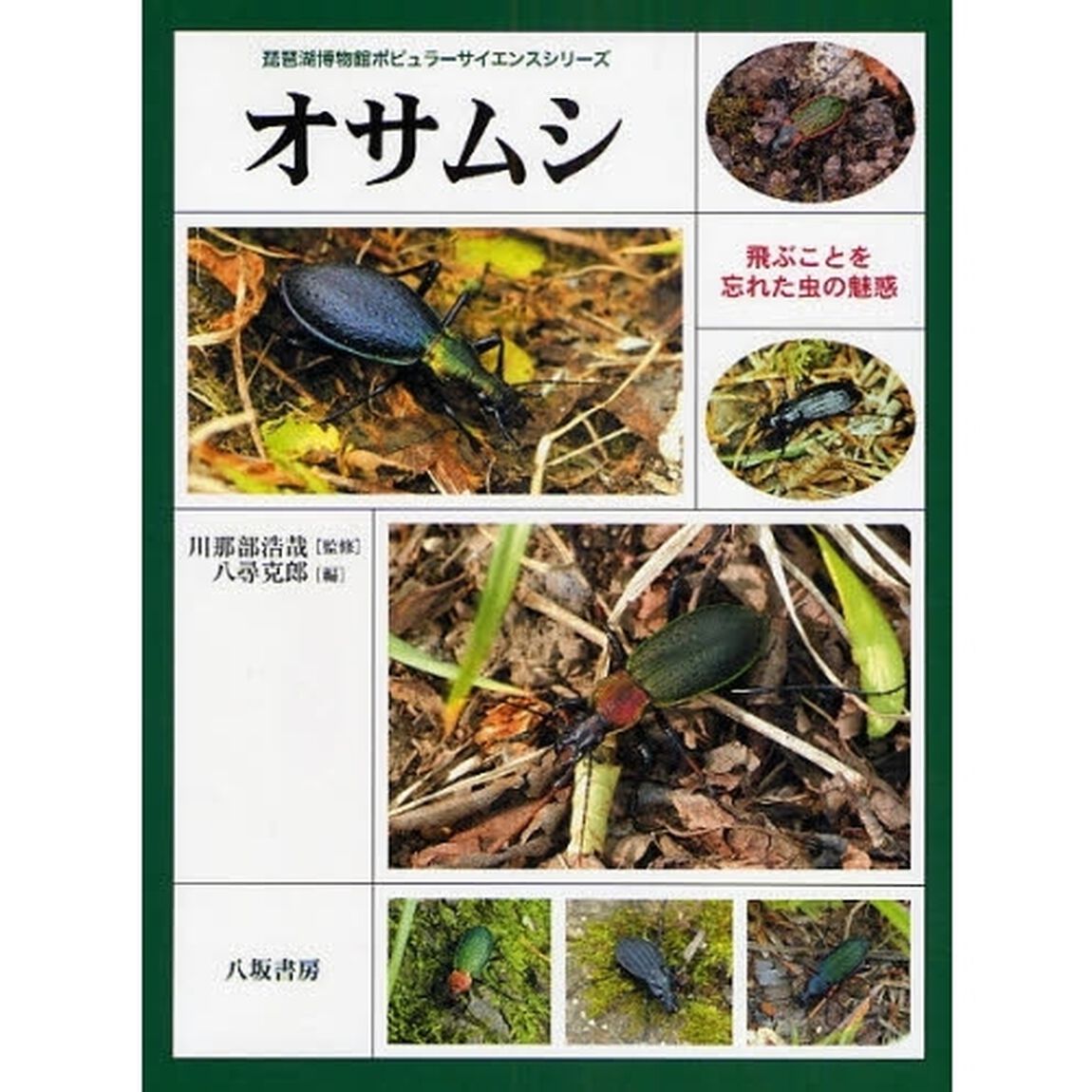 オサムシ　飛ぶことを忘れた虫の魅惑