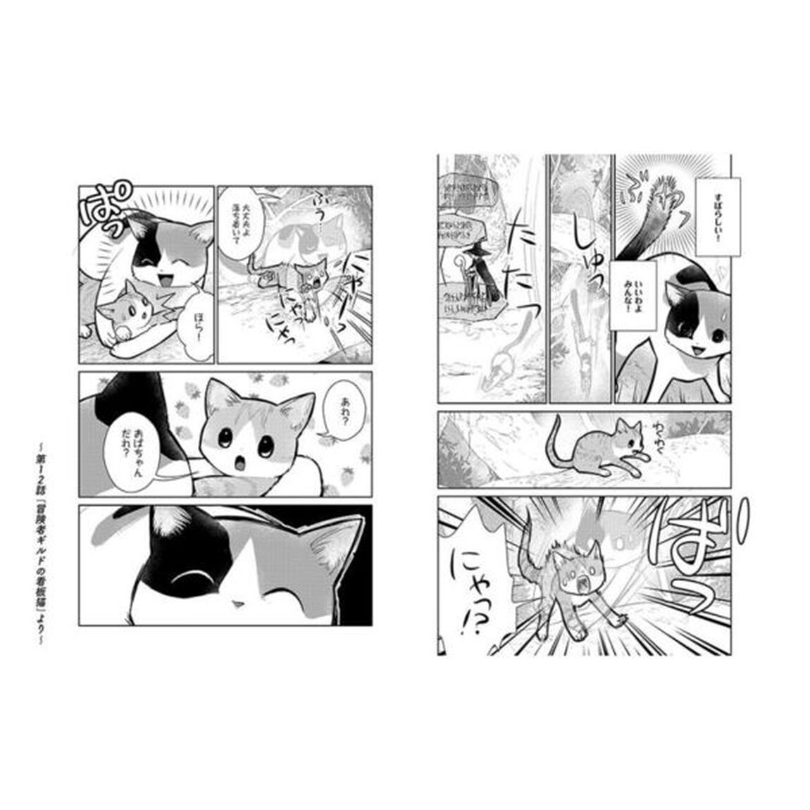 猫と竜　スペシャルプライスパック　このマンガがすごい！ｃｏｍｉｃｓ　３巻セット