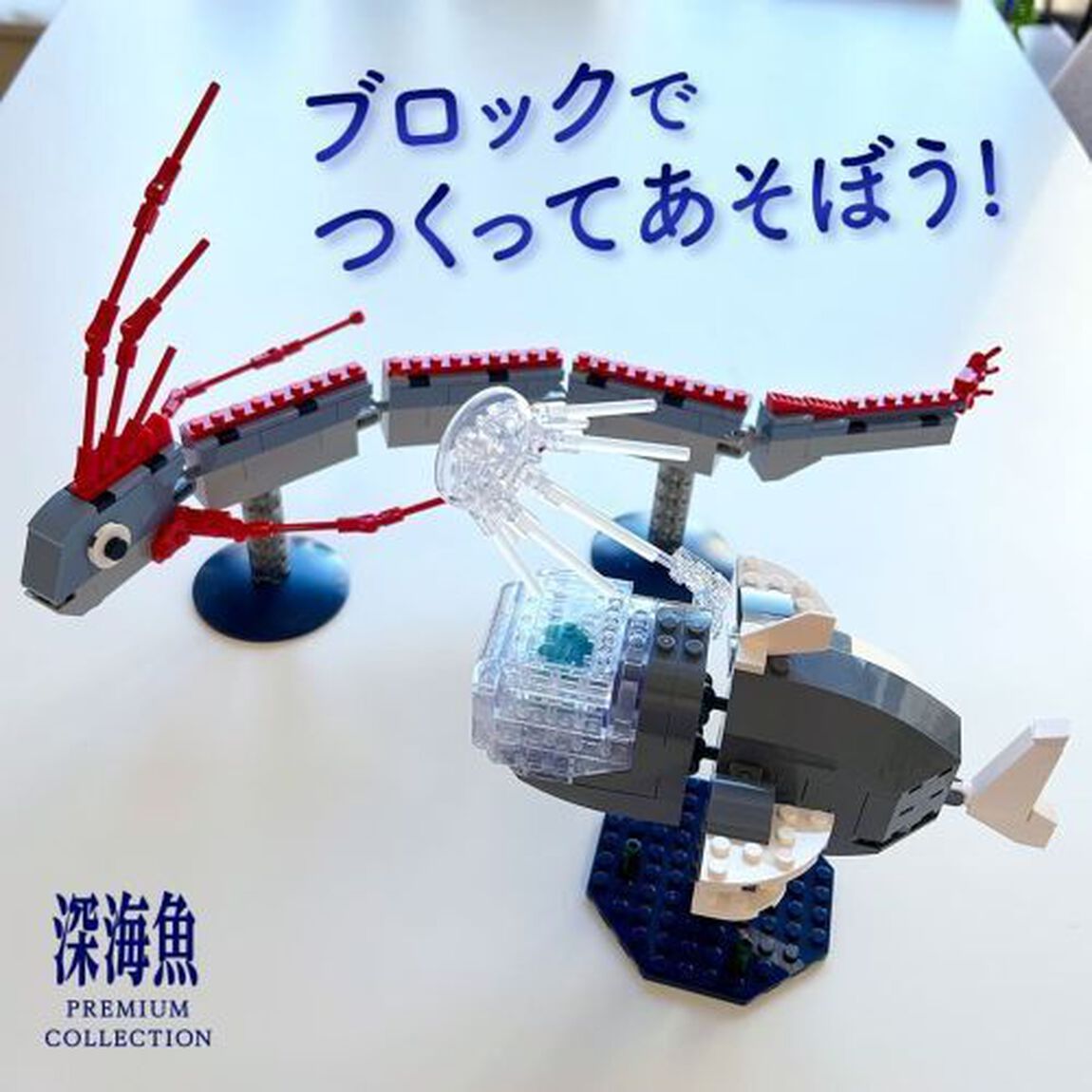 リュウグウノツカイ＆デメニギス