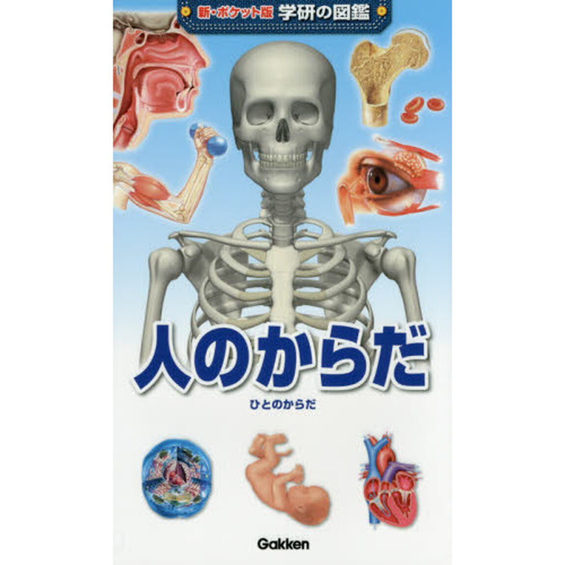 人のからだ
