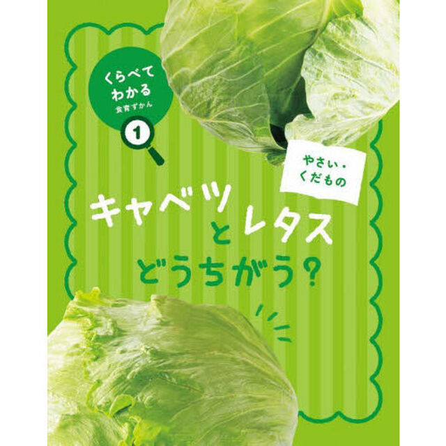 くらべてわかる食育ずかん　１「やさい・くだもの　キャベツとレタスどうちがう？」