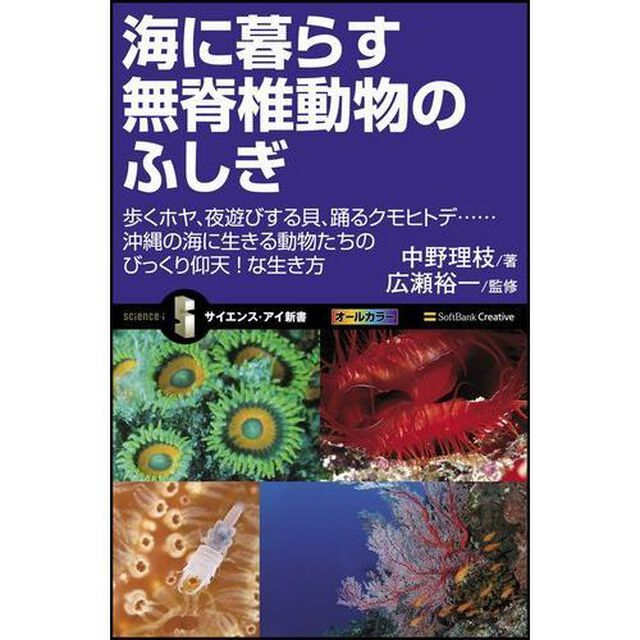 海に暮らす無脊椎動物のふしぎ　歩くホヤ、夜遊びする貝、踊るクモヒトデ&hellip;沖縄の海に生きる動物たちのびっくり仰天！な生き方