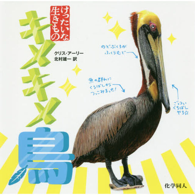 キメキメ鳥