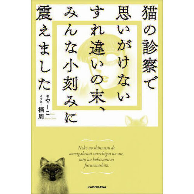 猫の診察で思いがけないすれ違いの末、みんな小刻みに震えました