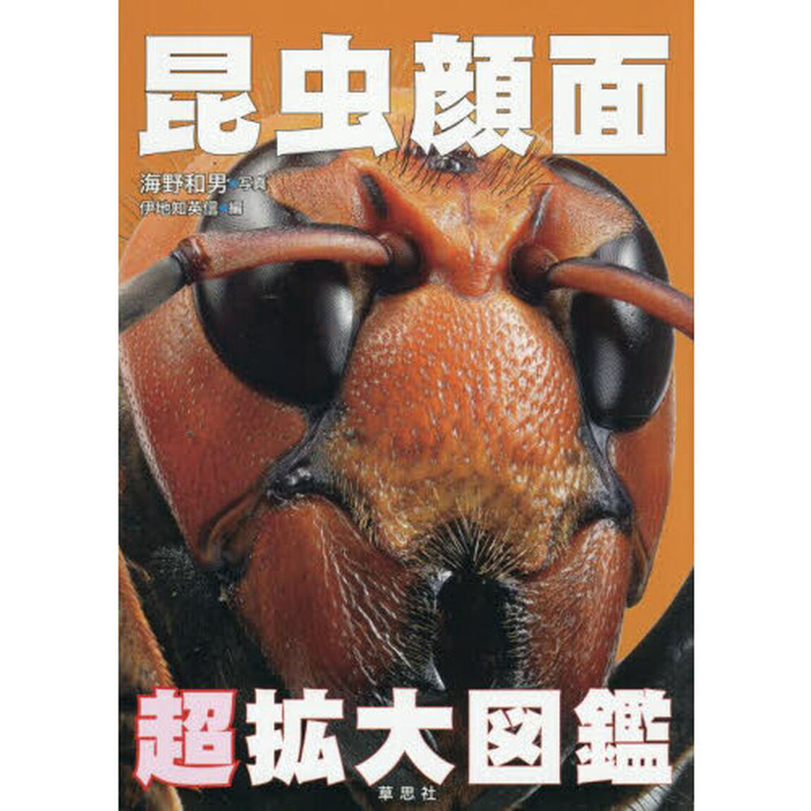 昆虫顔面超拡大図鑑