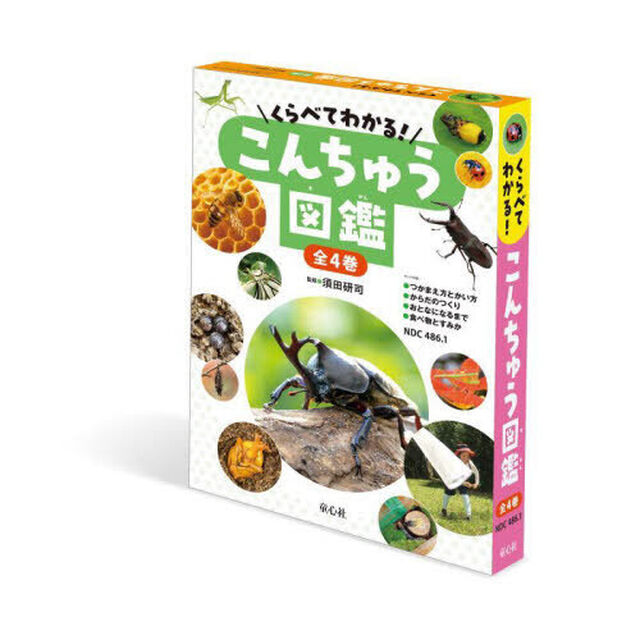 くらべてわかる！こんちゅう図鑑　４巻セット