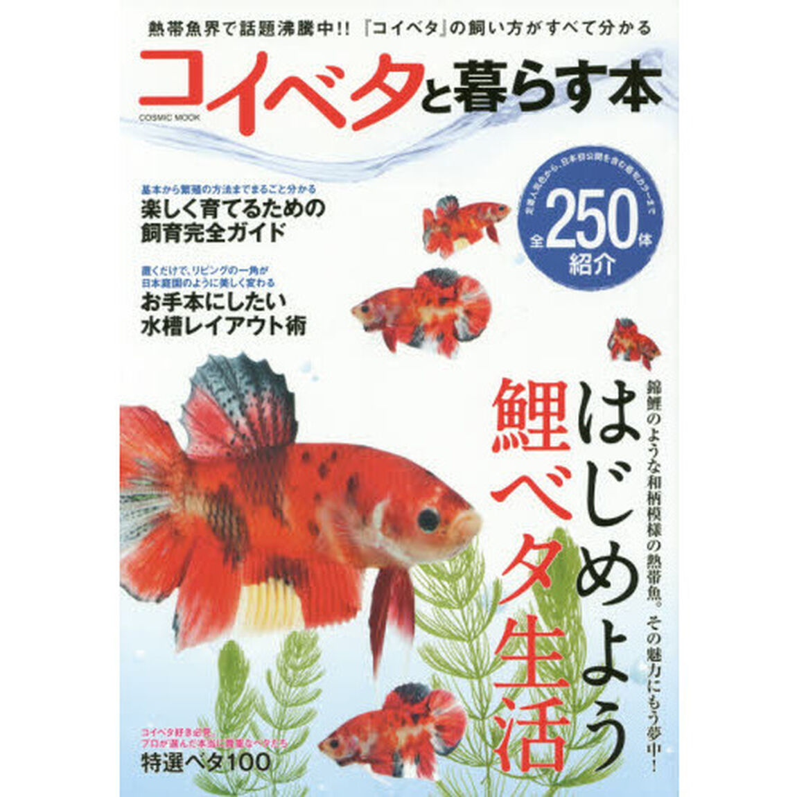 コイベタと暮らす本　熱帯魚界で話題沸騰中！コイベタの飼い方がすべて分かる！！全２５０体紹介
