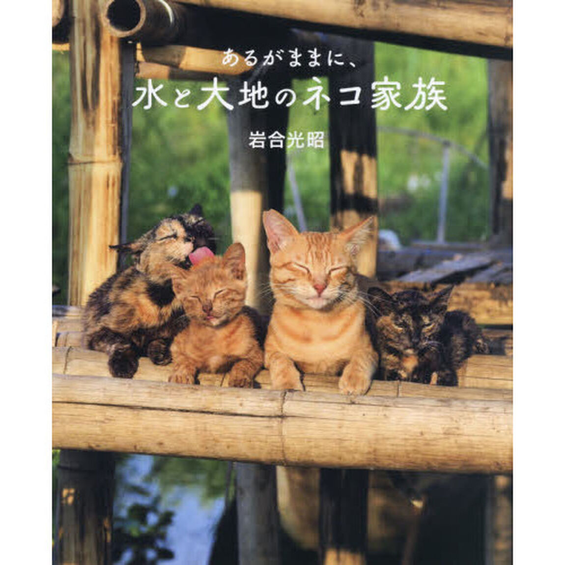 あるがままに、水と大地のネコ家族　劇場版岩合光昭の世界ネコ歩き