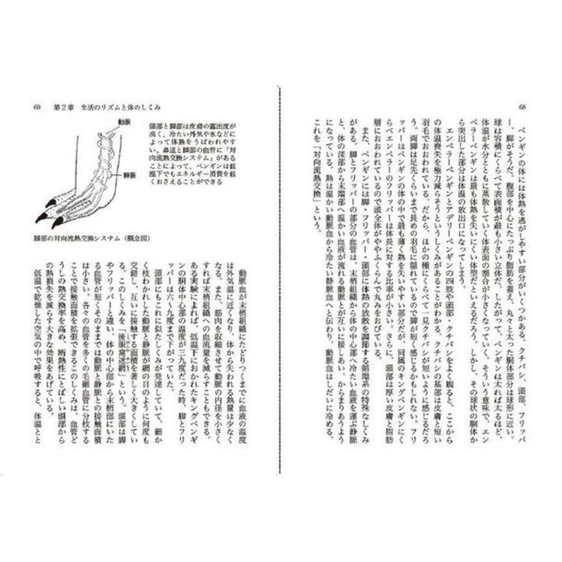 ペンギンの世界