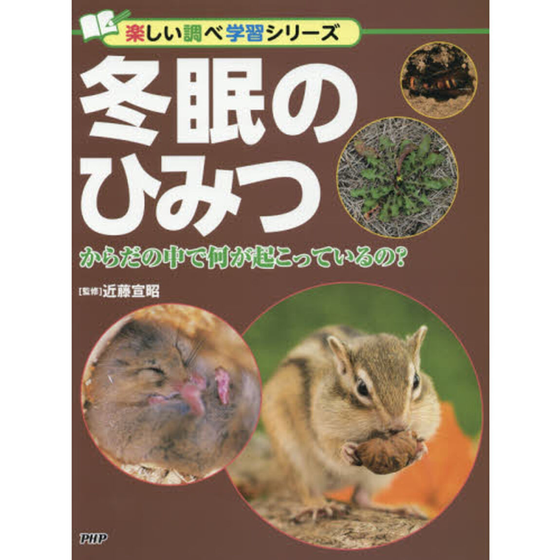 冬眠のひみつ　からだの中で何が起こっているの？