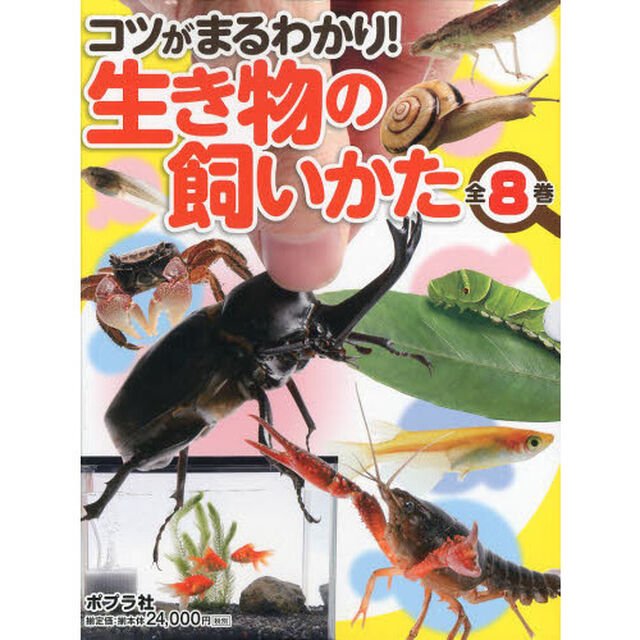 コツがまるわかり！生き物の飼いかた　８巻セット
