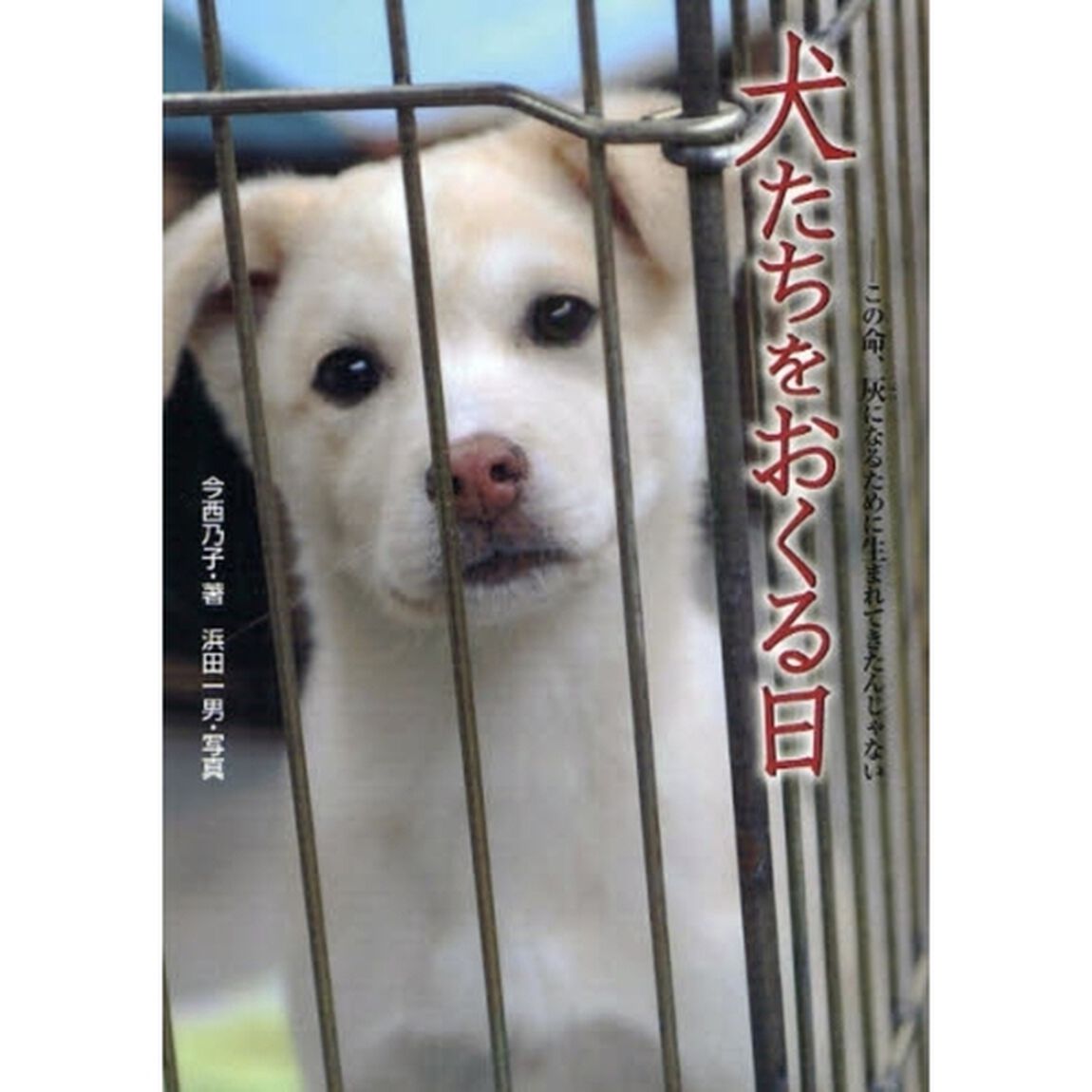 犬たちをおくる日　この命、灰になるために生まれてきたんじゃない
