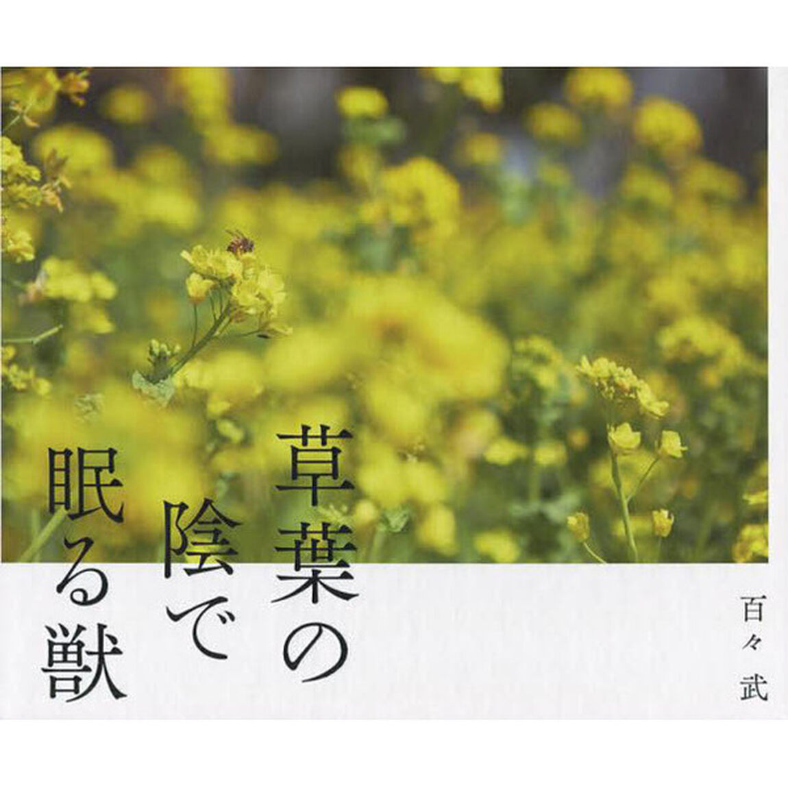 草葉の陰で眠る獣