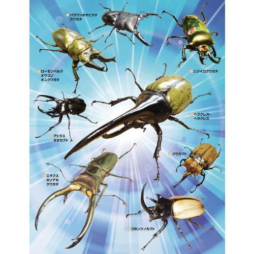 世界のカブトムシ・クワガタムシ リアルフィギュア図鑑vol.1 - 通販