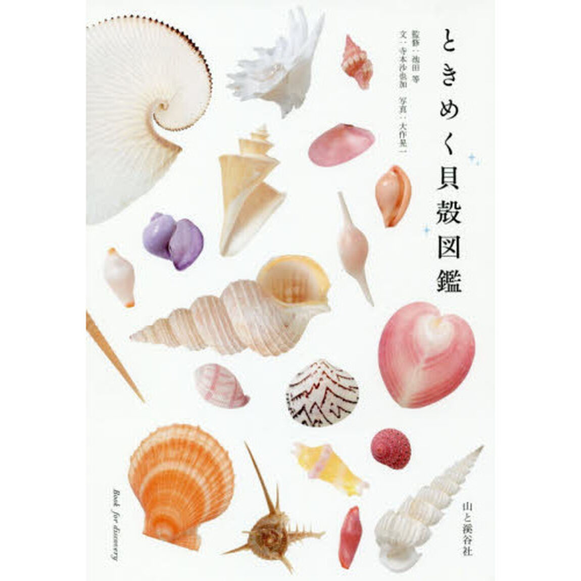 ときめく貝殻図鑑