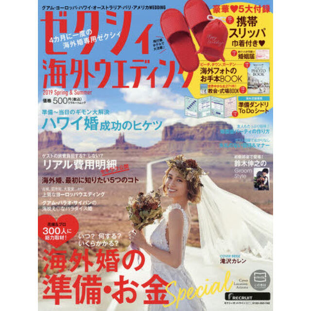 ゼクシィ海外ウエディング　２０１９Ｓｐｒｉｎｇ　＆　Ｓｕｍｍｅｒ「海外婚の準備・お金スペシャル　決定版」