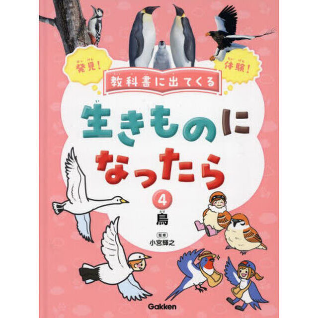 教科書に出てくる生きものになったら　発見！体験！　４「鳥　キツツキ／ハチドリ／オウム／ペンギン／ダチョウ／オオワシほか」