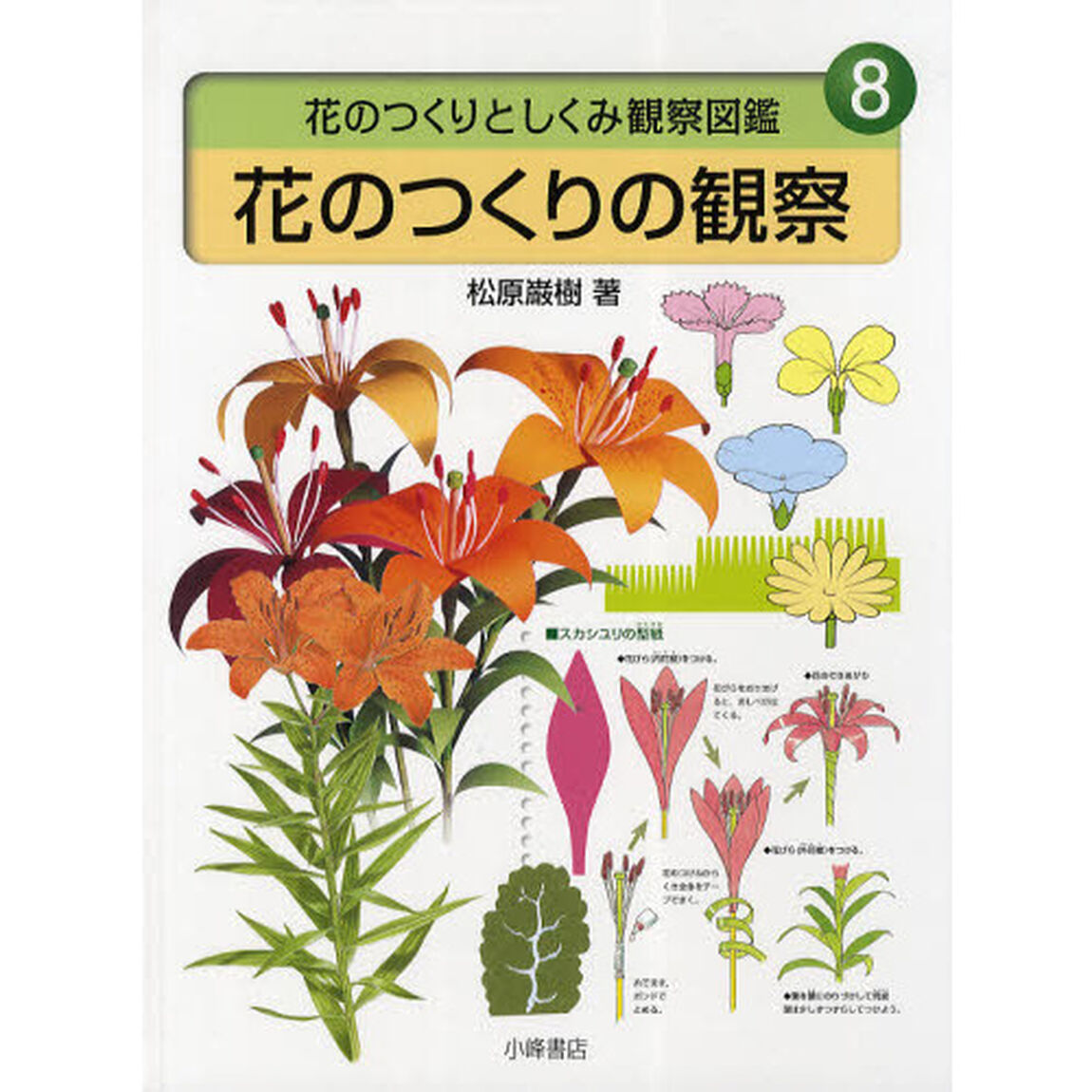 花のつくりとしくみ観察図鑑　８「花のつくりの観察」