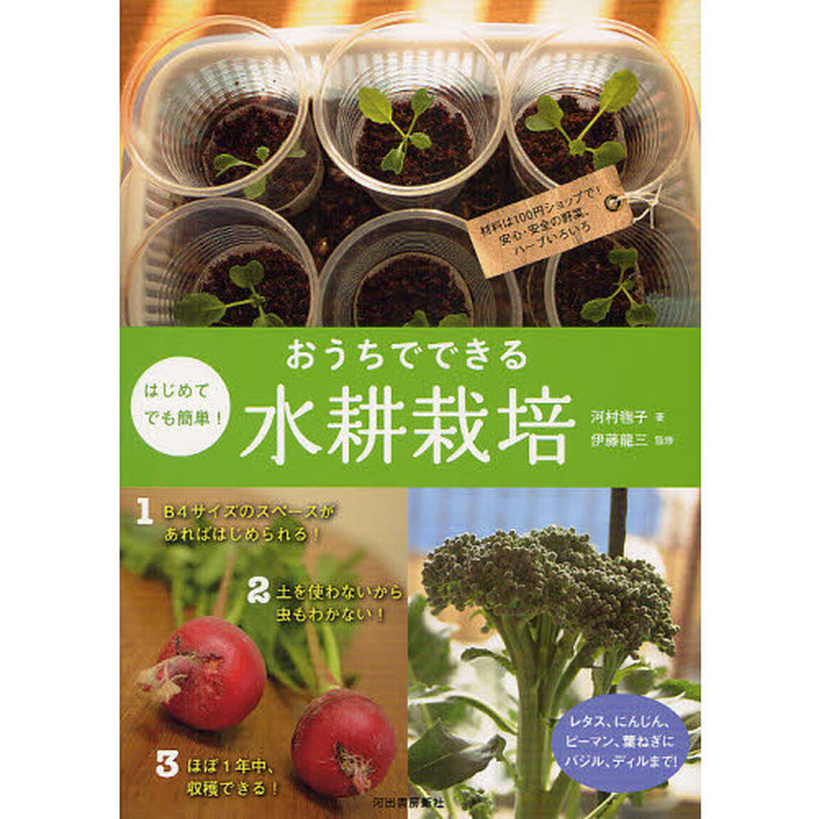 はじめてでも簡単！おうちでできる水耕栽培　材料は１００円ショップで！安心・安全の野菜、ハーブいろいろ