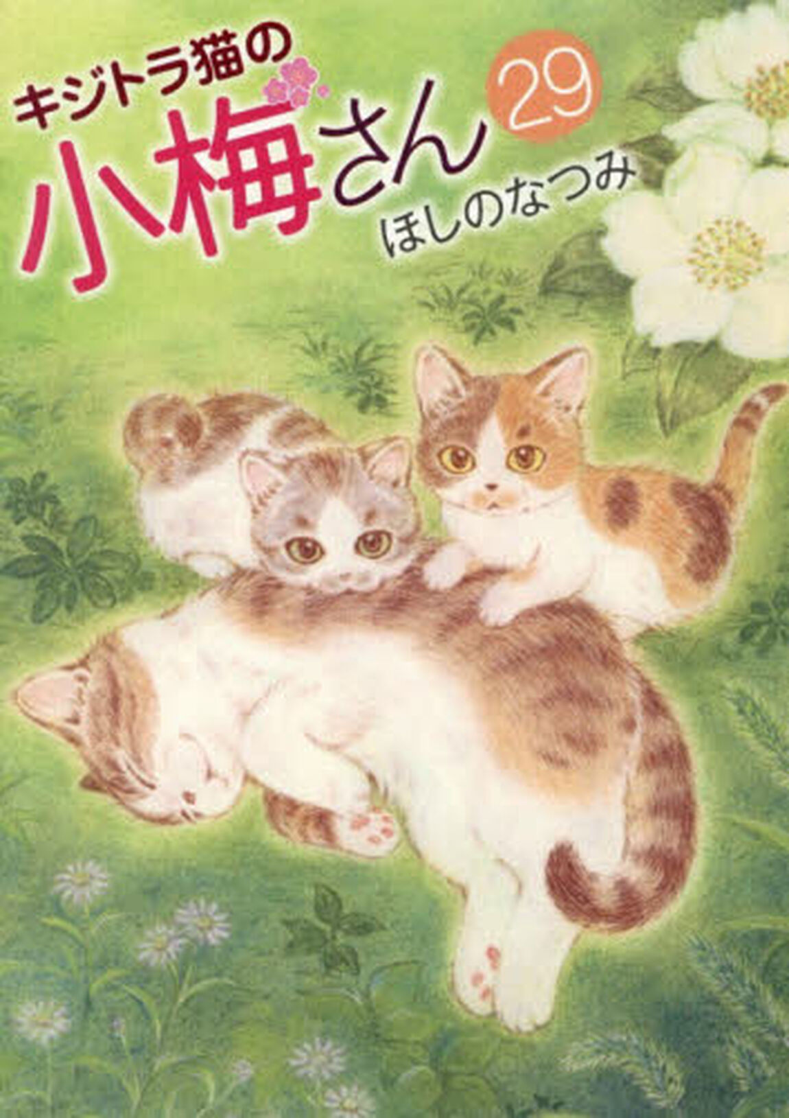 キジトラ猫の小梅さん　２９