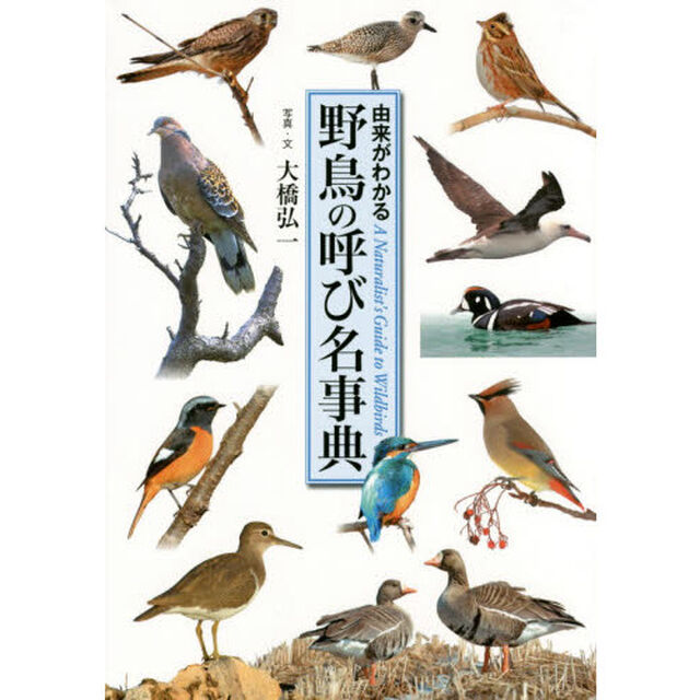 野鳥の呼び名事典　由来がわかる