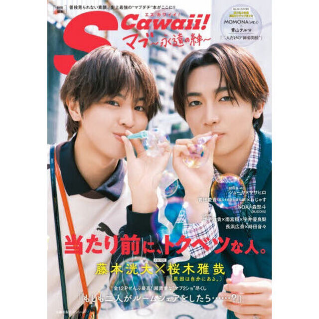 S Cawaii!特別編集　マブ 〜永遠の絆〜