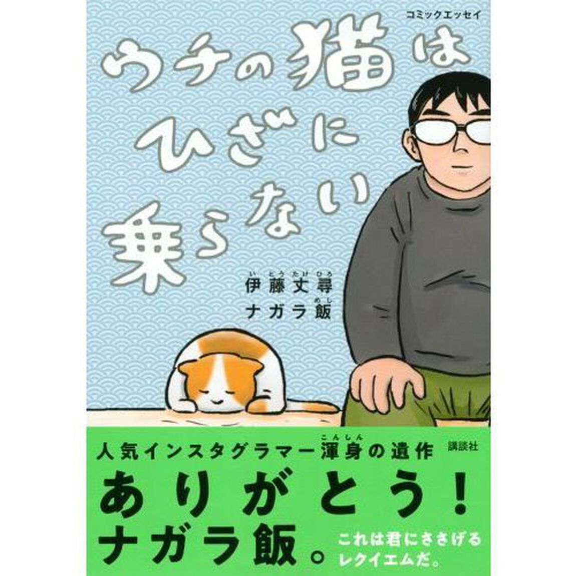 ウチの猫はひざに乗らない　コミックエッセイ