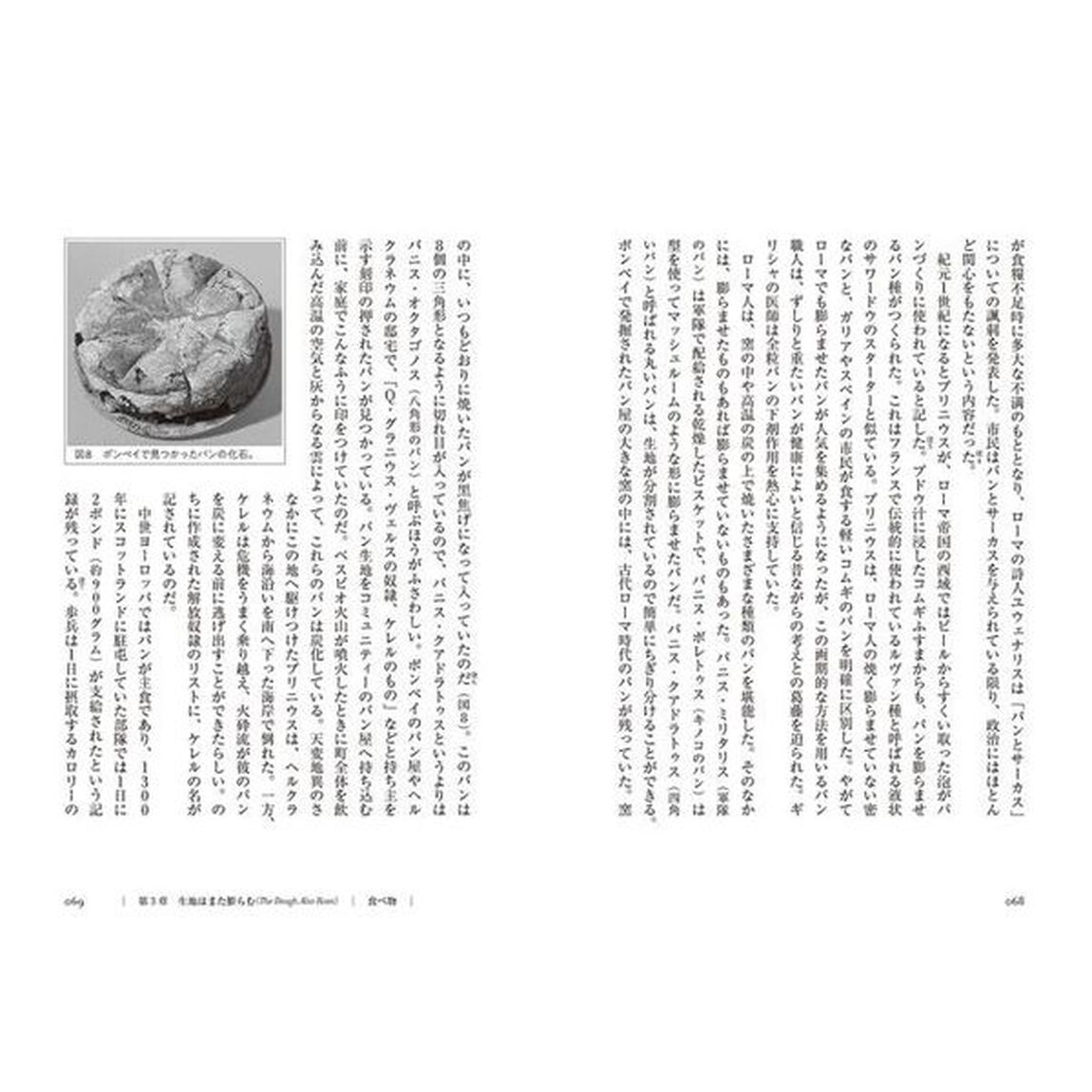 酵母　文明を発酵させる菌の話