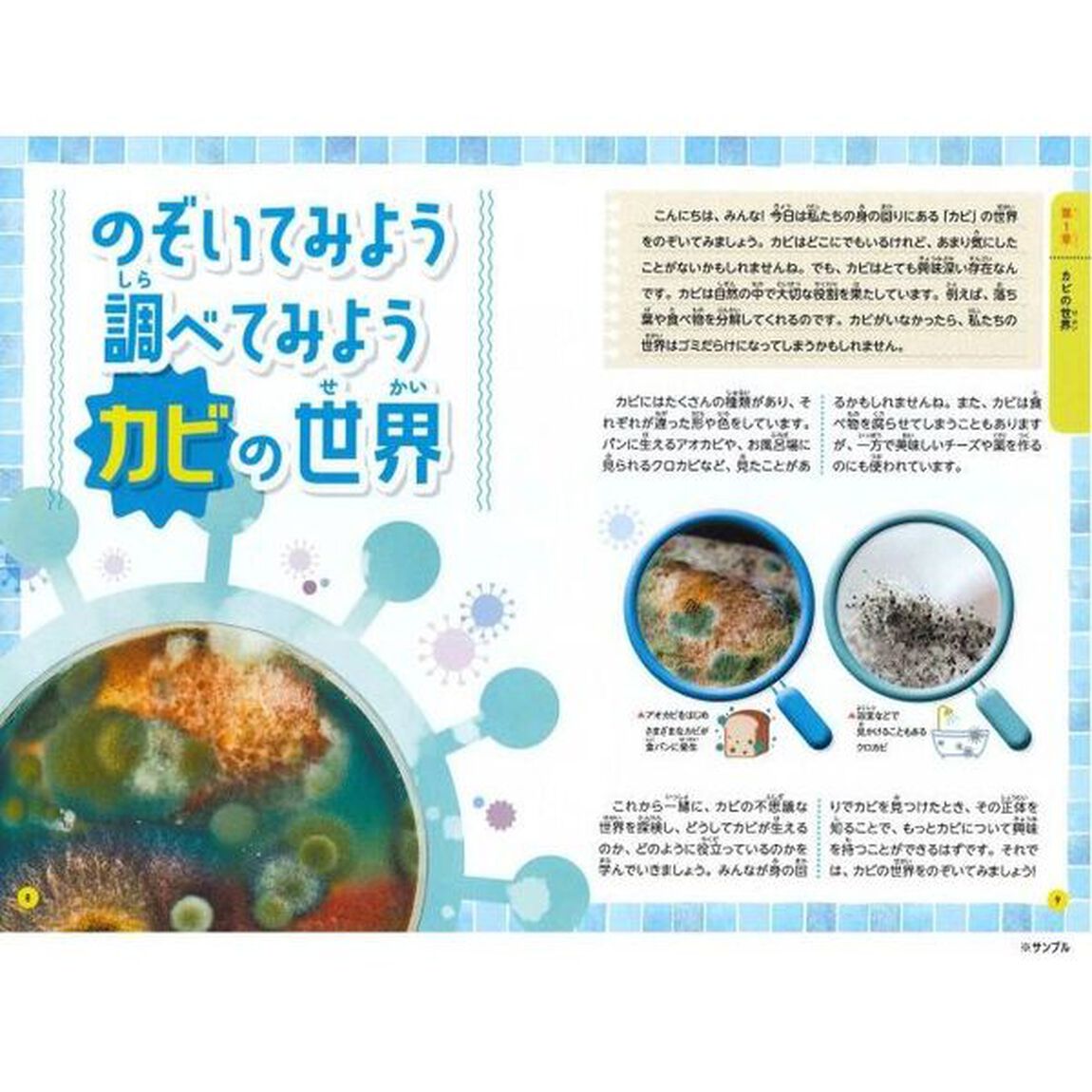 みんなが知りたい！不思議な「カビ」のすべて　身近な微生物のヒミツがわかる