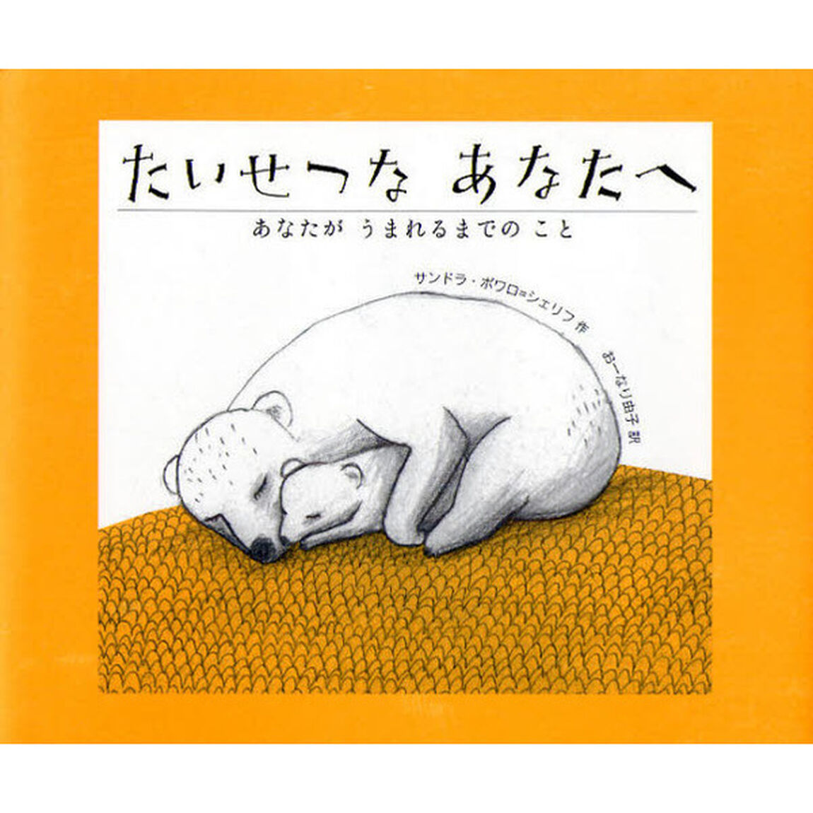たいせつなあなたへ　あなたがうまれるまでのこと