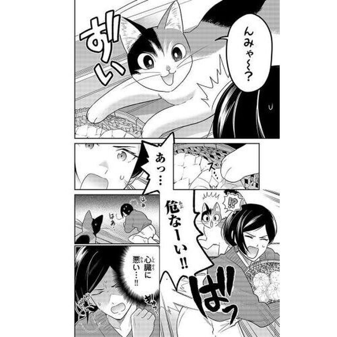 はたらく細胞猫　２