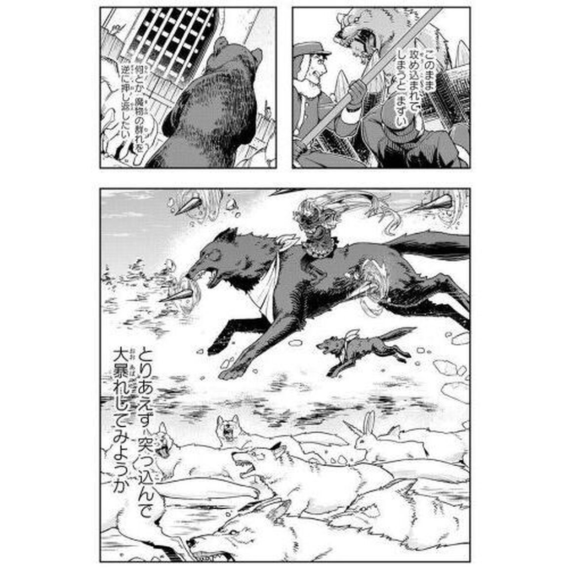 よくわからないけれど異世界に転生していたようです 16