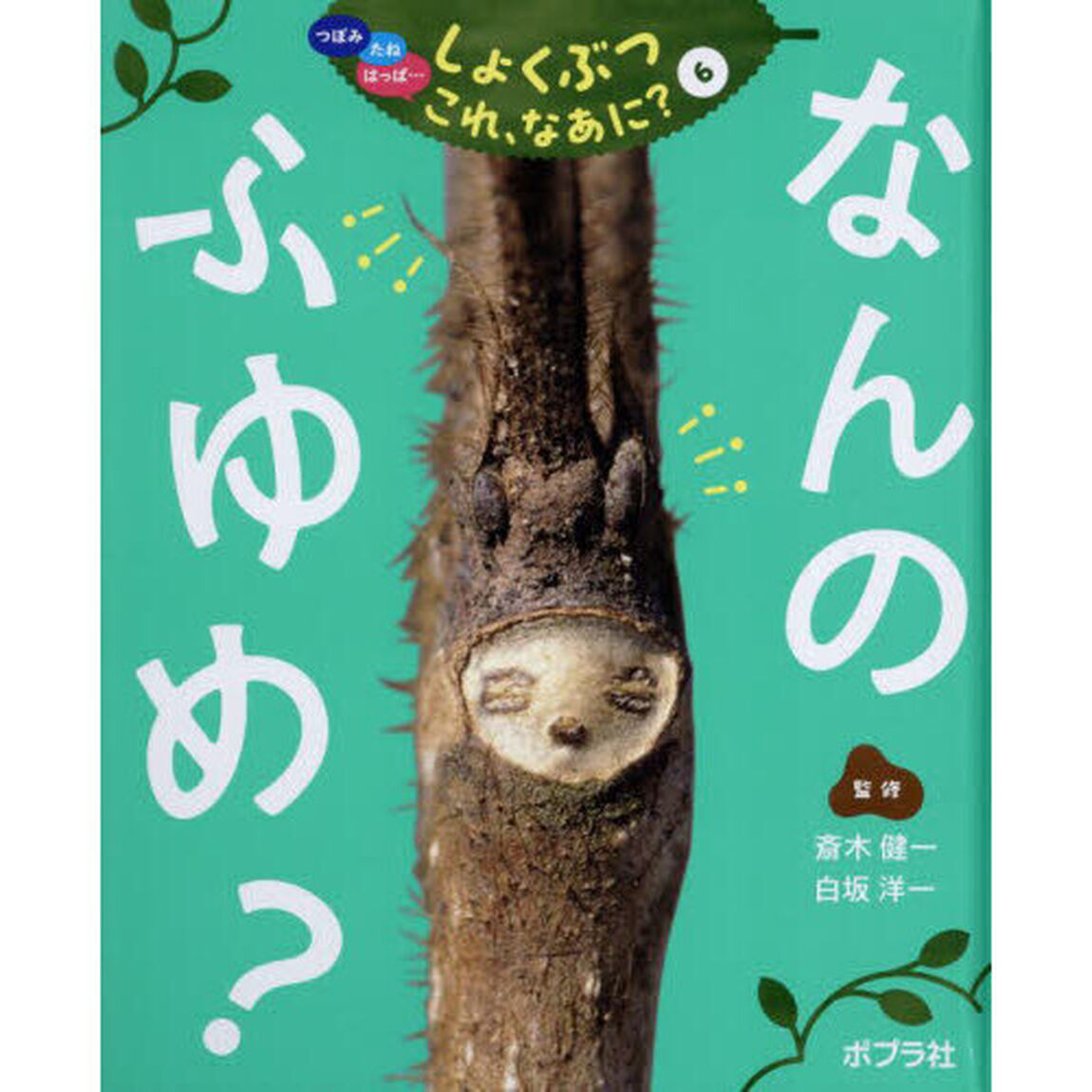 つぼみ　たね　はっぱ&hellip;しょくぶつこれ、なあに？　６「なんのふゆめ？」