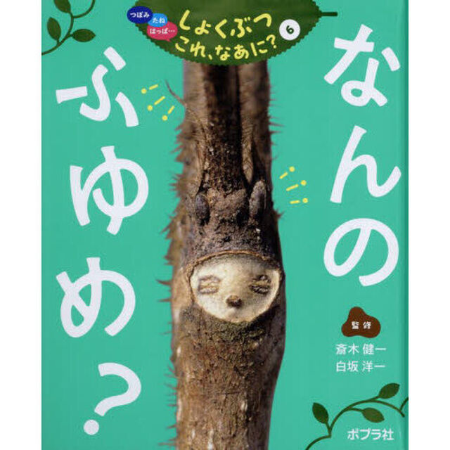 つぼみ　たね　はっぱ&hellip;しょくぶつこれ、なあに？　６「なんのふゆめ？」