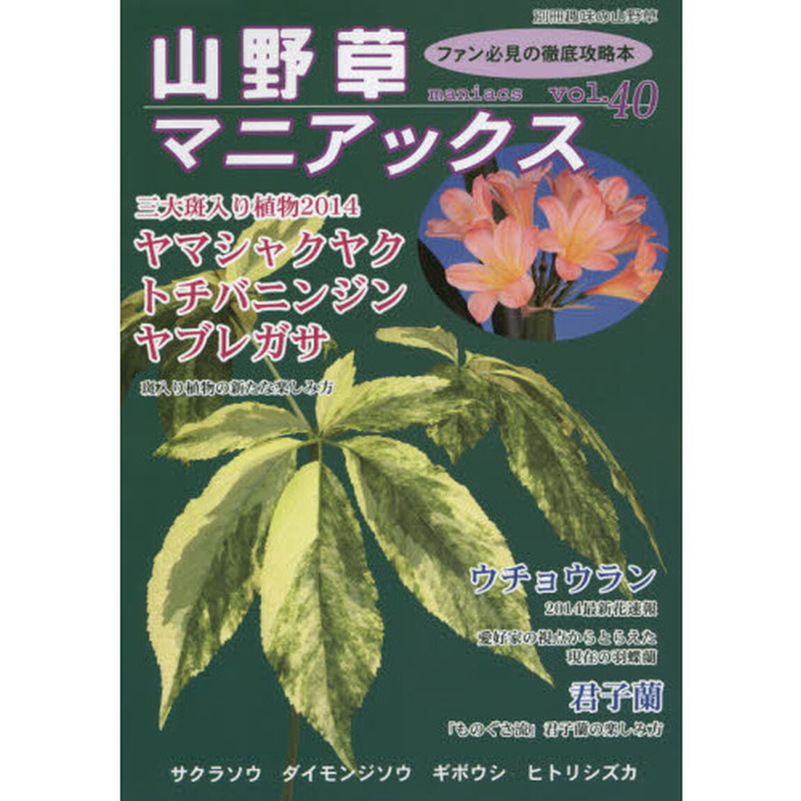 山野草マニアックス　ファン必見の徹底攻略本！　ｖｏｌ．４０「三大斑入り植物◆ウチョウラン◆君子蘭　サクラソウ　ギボウシ」
