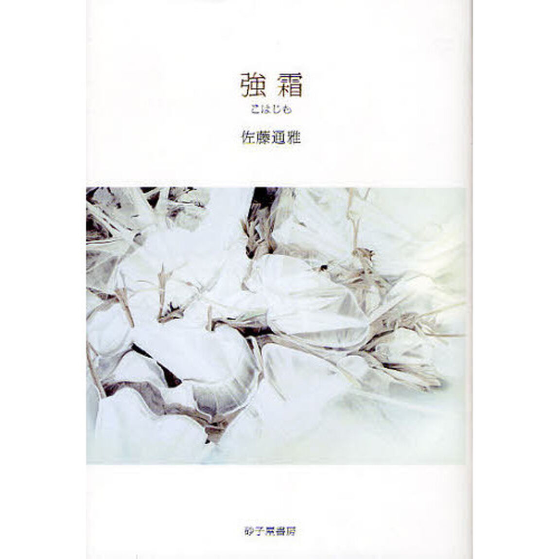 強霜　佐藤通雅歌集
